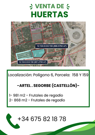 SE VENDEN 2 HUERTAS COLINDANTES CON FRUTALES