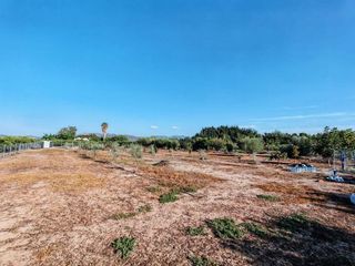 Terreno en venta en Benavites