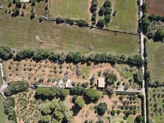 Casa rural en venta en Manacor Centro en Manacor