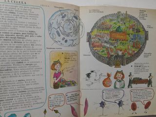 Cosas y Casos ,edicion especial ,1982