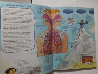 Cosas y Casos ,edicion especial ,1982