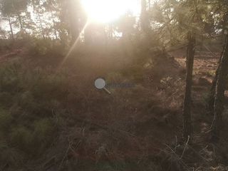 Terreno en venta en Arafo