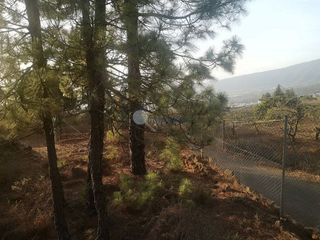 Terreno en venta en Arafo