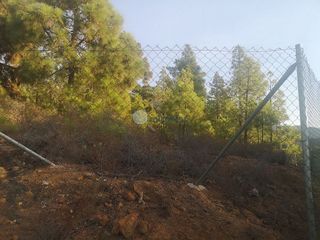 Terreno en venta en Arafo