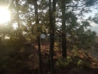 Terreno en venta en Arafo