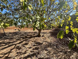 Casa rural en venta en Torreblanca en Sevilla
