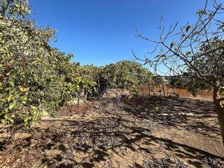 Casa rural en venta en Torreblanca en Sevilla