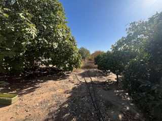 Casa rural en venta en Torreblanca en Sevilla