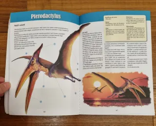 Il grande libro dei dinosauri