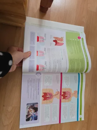 BIOLOGIA I GEOLOGIA 3 SEC CONSTRUINT MONS