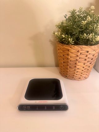 Calentador de tazas eléctrico