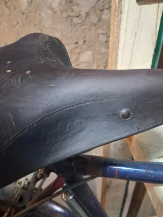 Bicicleta Dal para restaurar o decorar