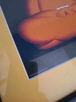 Stampa pubblicitaria, marchio Modiano