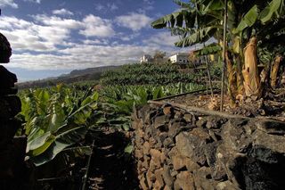 Terreno en venta en Santa Cruz de la Palma