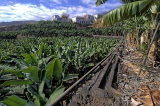 Terreno en venta en Santa Cruz de la Palma