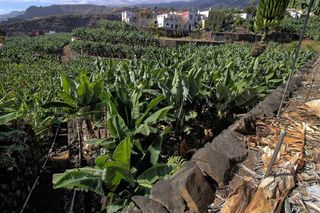 Terreno en venta en Santa Cruz de la Palma