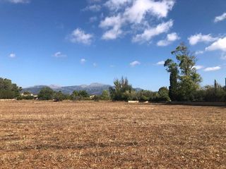Terreno en venta en Zona periurbana en Inca