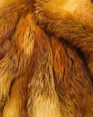 Abrigo Zorro Auténtico Talla M