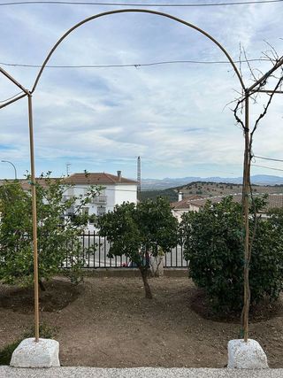 Casa adosada en venta en Illora