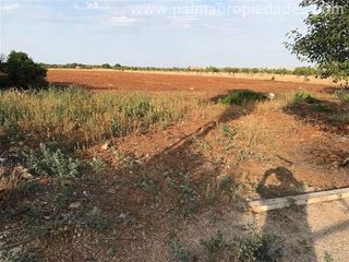 Solar en venta en Pobla (Sa)