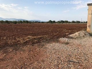 Solar en venta en Pobla (Sa)