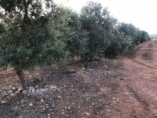 Solar en venta en Pobla (Sa)