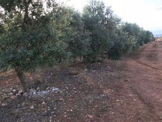 Solar en venta en Pobla (Sa)