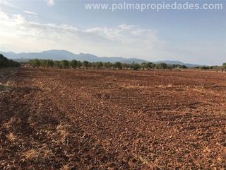 Solar en venta en Pobla (Sa)