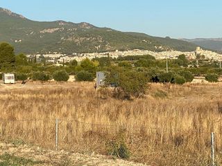 Solar en venta en Moratalla