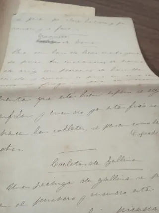 Manuscrito recetas cocina gastronomía reposteria