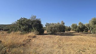 Terreno en venta en Bobadilla - Bobadilla Estación - La Joya en Antequera