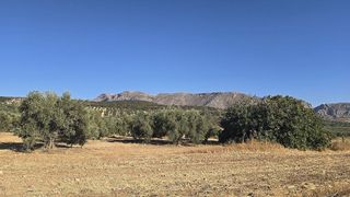 Terreno en venta en Bobadilla - Bobadilla Estación - La Joya en Antequera
