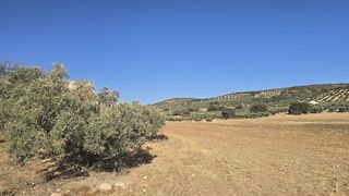 Terreno en venta en Bobadilla - Bobadilla Estación - La Joya en Antequera