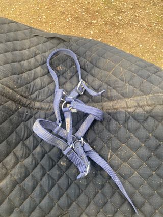 Material equitación