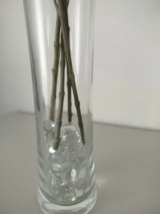 Jarrón de Cristal Transparente