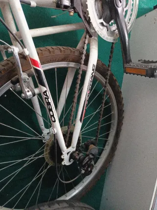 Bicicleta Montaña Cobra