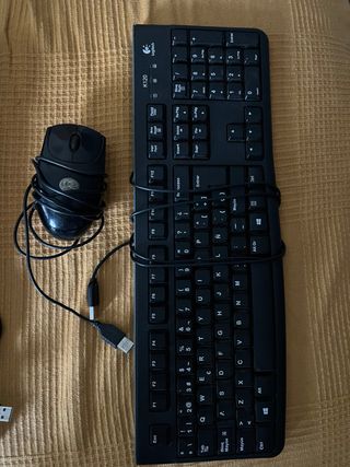 Teclado y Ratón USB Logitech K120 Negro