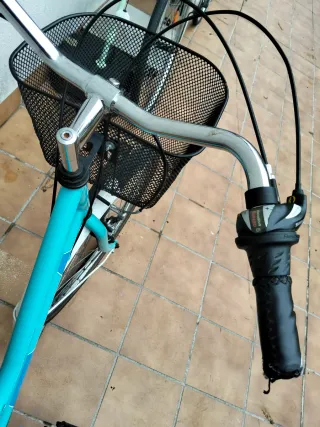 Bicicleta tipo holandesa de 25' para niñas (8-12 a
