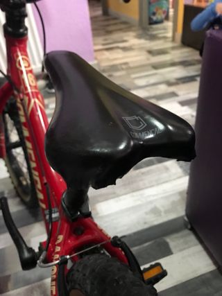 Bicicleta Commencal Ramones 16