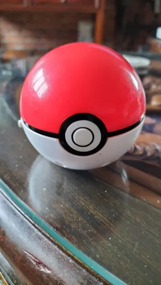 Poké Ball Pokémon 2004