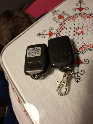 2 Mandos Puerta Garaje DTM H6