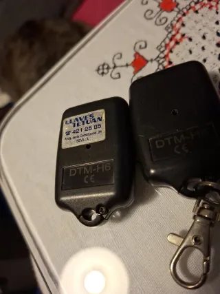 2 Mandos Puerta Garaje DTM H6