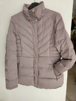 Plumifero Tintoretto