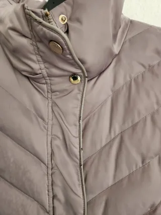 Plumifero Tintoretto