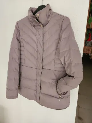 Plumifero Tintoretto