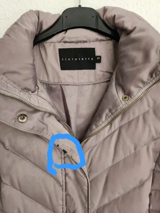 Plumifero Tintoretto