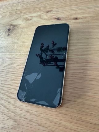 iPhone 13 Pro 128GB Dorado/Plateado