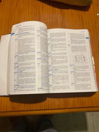 Diccionario de Primaria (Spanish Edition)