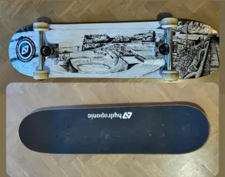 Skate Hydroponic Negro