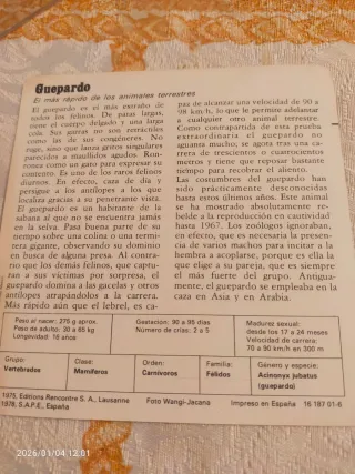 Safari,conocer y amar los animales